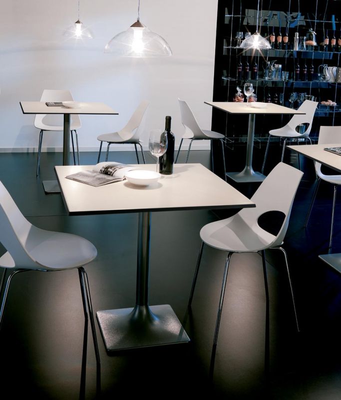Shark Dining Chairs